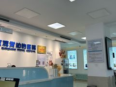-北京观赏动物医院·24小时大型综合·猫专科·异宠专科
