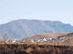 -江心岛
