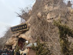 -大槐树寻根祭祖园