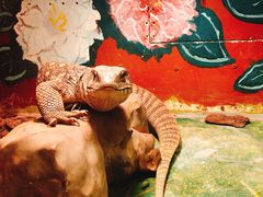 -上海昆虫博物馆