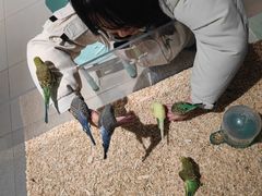 -怪兽屋·羊驼·猫咖·狗咖(俊华广场店)