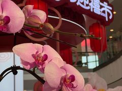 -武汉荟聚