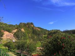 -神光山国家森林公园