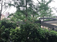 -月圆霖特色农家乐