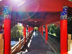 -开福禅寺