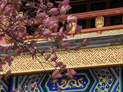 -盛世南宫影视城(北普陀影视城)
