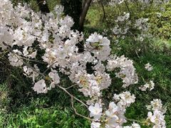 -苏州上方山国家森林公园
