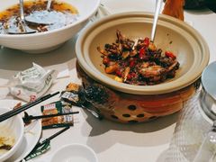 -绿草地·湘菜(芙蓉天街店)