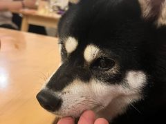 -柴の食堂·日式家庭料理·熊之肆(大学路店)