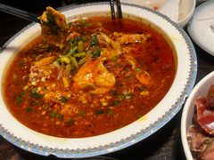 -陈麻婆豆腐(旗舰店)