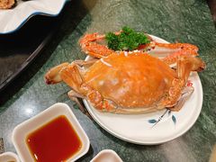 -中苑海韵