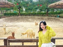 -盈香心动乐园