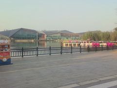 -上海长兴岛郊野公园