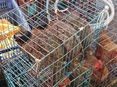 -潮汕砂锅粥(十八甫南路店)