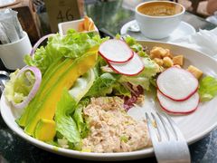 -Fern Forest Cafe
