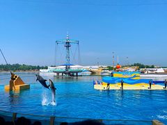 -秦皇岛乐岛海洋王国