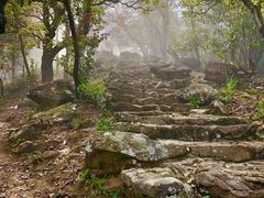 -梧桐山风景名胜区