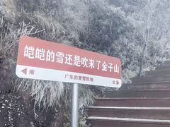 -金子山原生态旅游风景区
