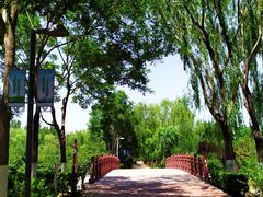 -大兴滨河森林公园