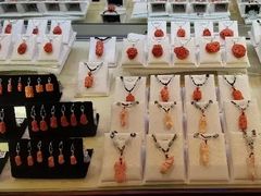 -绮丽珊瑚博物馆(台东店)