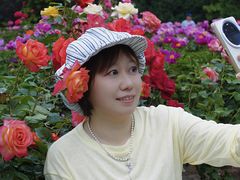 -丰台花园