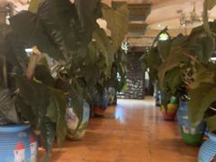 -凯撒城堡西餐厅(颐和国际店)