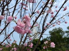 -观澜湖生态运动公社