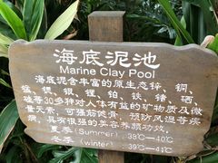 -龙山酒店温泉