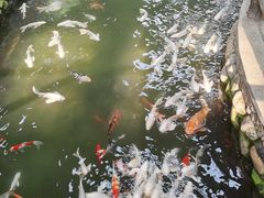 -南宫五洲植物乐园