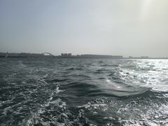 -五缘湾游艇帆船俱乐部