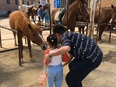 -月河湾马术俱乐部(朝阳店)