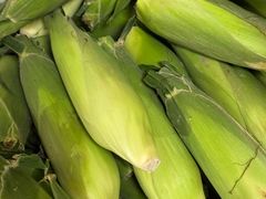 -南汇新场正宗水蜜桃采摘