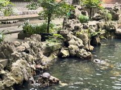 -普陀山风景名胜区-法雨禅寺