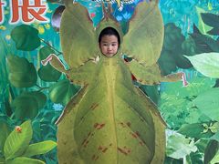 -上海昆虫博物馆