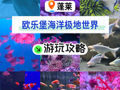 -蓬莱欧乐堡海洋极地世界