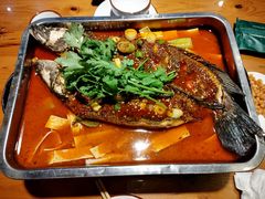 -沈胖子音乐烤吧·炒菜·龙虾(环城东路店)