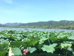 -湖畔居茶楼(湖滨店)