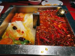 -二荆条·蜀鲜汇城市森林火锅