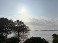 -宝安西湾红树林湿地公园