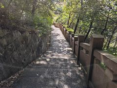 -杭州半山国家森林公园