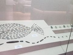 -巴音郭楞蒙古自治州博物馆