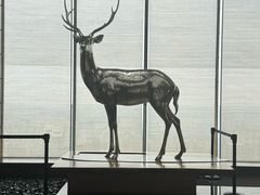 -北京柏悦酒店·锦庭餐厅Dining Room