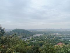 -上海佘山国家森林公园西佘山园