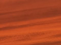 -咏春拳学总会·一拳咏春(双井店)