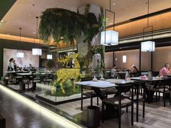 -阿露佳·舌尖上的安吉菜