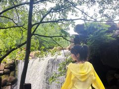 -汤旺河林海奇石景区