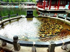 -百脉泉景区