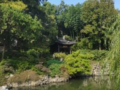 -清心素食自助餐厅(夫子庙店)