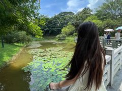 -东莞植物园