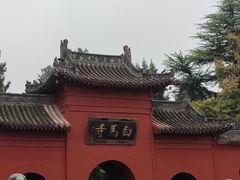 -洛阳白马寺
